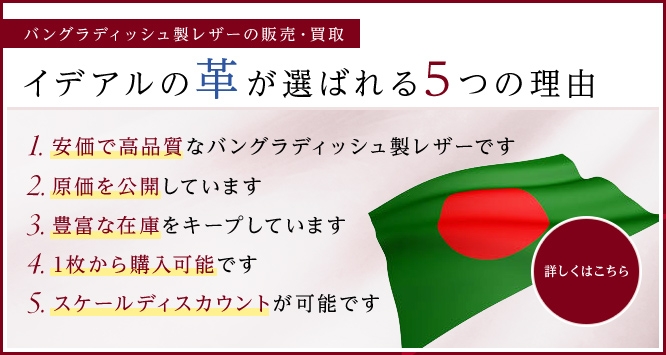 イデアルの革が選ばれる5つの理由