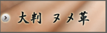 大判 肉厚ヌメ